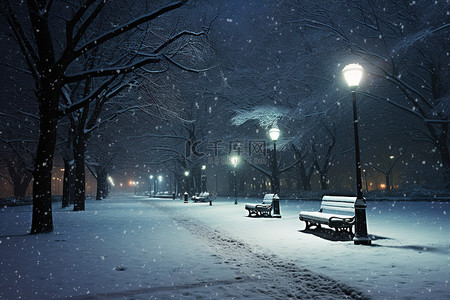 雪街道背景图片_树木附近有一座灯火通明的公园被雪覆盖