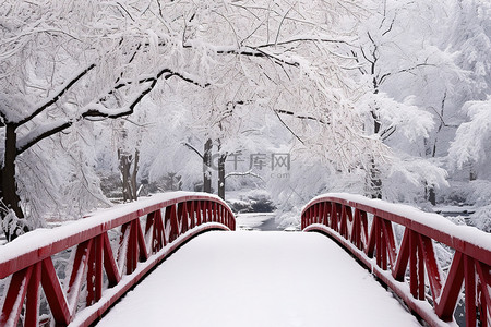 冬天柿子树背景图片_雪覆盖的木桥穿过雪覆盖的树林的景色