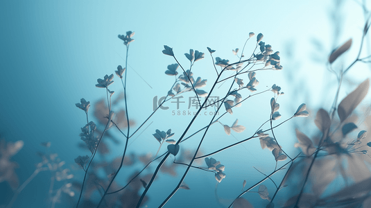 分割线花花背景图片_小花装饰插图