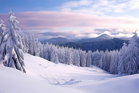 冬天的场景，有雪覆盖的树木和山景
