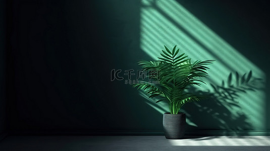 房间的角落背景图片_3D 渲染的房间模糊的角落，带有一丝绿色植物和窗户的阴影