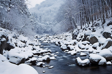 冬天的人背景图片_一条河流，岩石被雪覆盖，周围树木环绕