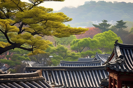 景背景图片_树木和山脉附近韩国传统建筑的屋顶