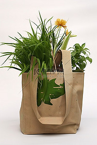 一个可重复使用的袋子，里面装着由棕褐色和棕色制成的植物