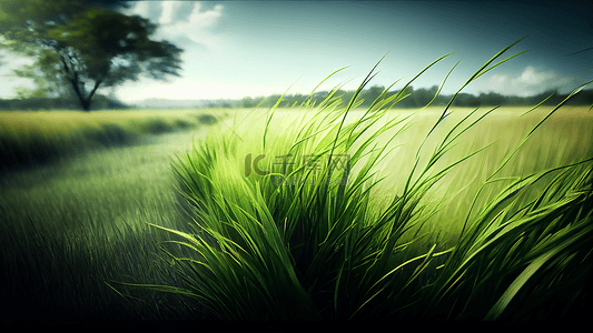 草植被背景图片_草地天空绿色小草