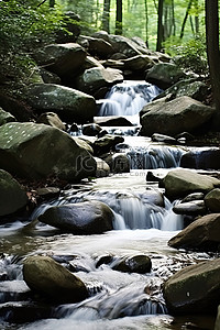 瀑布水流背景图片_水流穿过岩石流入森林中的溪流