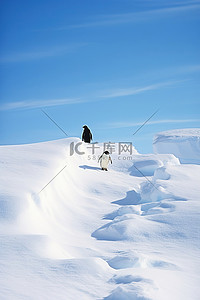 企鹅走过冰雪覆盖的里约