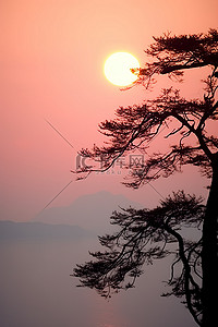 太阳海滩背景图片_太阳正在雾边缘的一棵树后面落下