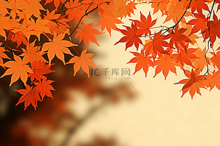 楓葉背景图片_秋天的樹葉壁紙