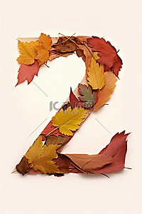 z背景图片_用彩色树叶制成的字母 z