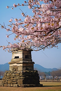 玉兰花田里有一座庙台