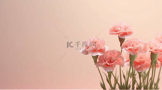 中婚礼背景图片_柔和的彩色背景上 3D 渲染中的康乃馨