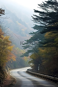 当当忠山的山路