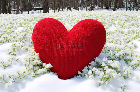 野菊花背景图片_白色花园中央的一颗大红心