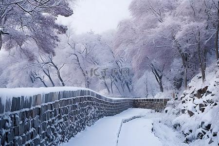 树雪背景图片_雪石墙，树雪，左岸雪桥
