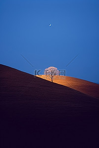 坐在月亮旁背景图片_一轮巨大的蓝色月亮坐在荒草山旁