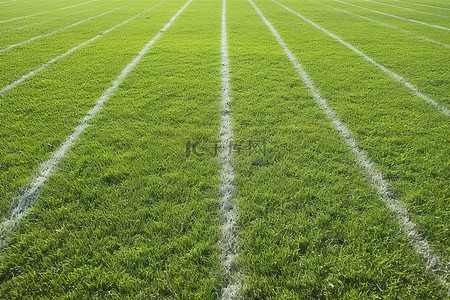 草地上背景图片_空荡荡的足球场草地上的白线
