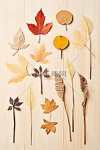 落叶银杏背景图片_秋天的树叶和树枝在木桌上