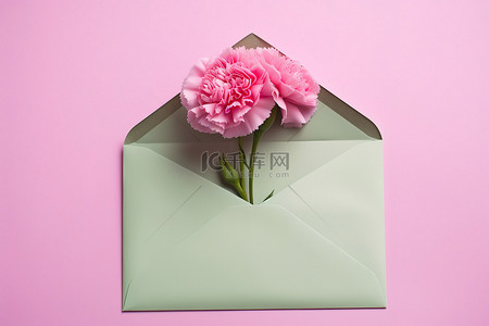 粉色康乃馨背景图片_打开绿色信封中的粉色康乃馨
