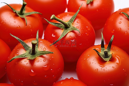 新鲜西红柿背景图片_西红柿和西红柿种子的免费 jpg
