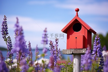 蓝色的天空和紫色的花朵的红色邮局