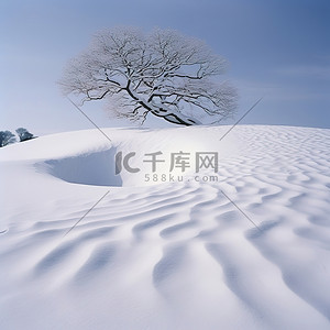 猴子爬树藤蔓背景图片_被雪覆盖的树的骨架