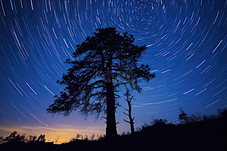 痕迹背景图片_夜晚，星星在一棵孤独的树上留下痕迹