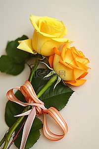 两片黄色和橙色的玫瑰叶和一把蝴蝶结