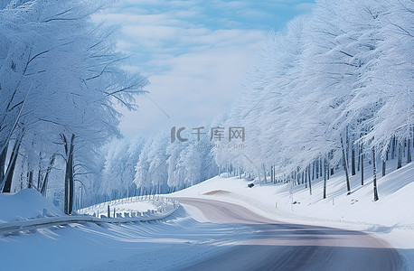 高路背景图片_一条穿过被雪覆盖的树林的路