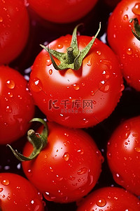 新鲜的西红柿与一些水滴jpg