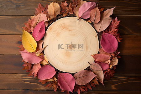 木板秋叶背景图片_木板上一大圈叶子