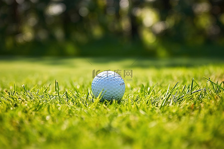 打高尔夫球模特背景图片_高尔夫球场上的绿色草地上的高尔夫球