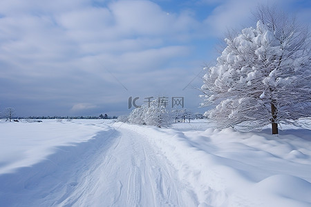 暴风雨天的积雪道路