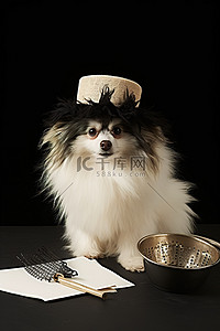 一只戴帽子的狗被放在一个带有空标志的碗旁边