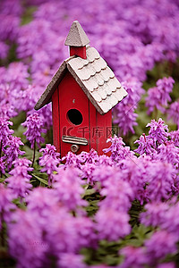 紫色花坛上矗立着一座小鸟舍