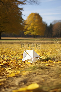 小枫叶背景图片_放在地上晾干的小纸信封