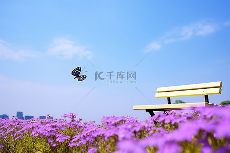 花蓝花背景图片_蓝天下紫色花朵上的长凳