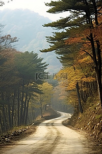 自然之路背景图片_乡村之路