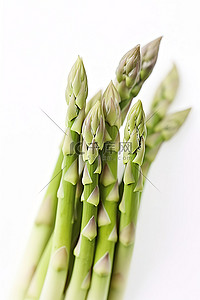 素食健康背景图片_白色背景中许多健康的芦笋茎