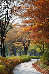 前门步行街背景图片_背景中有树木的步行道