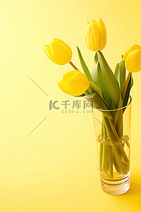 新年透明免抠背景图片_黄色背景上装满黄色郁金香的透明花瓶