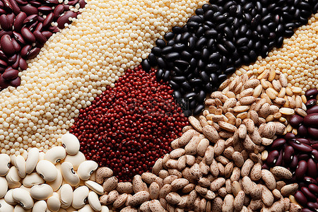豆类粗粮背景图片_地面上不同类型的谷物和豆类