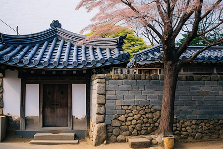 山谷景点背景图片_韩国古城首尔一栋前面有一棵树的房子