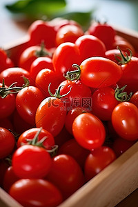 新鮮背景图片_新鮮西紅柿