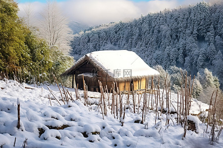 白雪覆盖的山坡上的竹屋