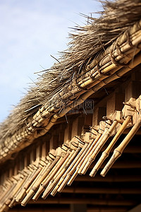 屋顶上有一些竹子制成的棍子