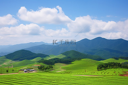 中利达画册背景图片_科达利克山的山景