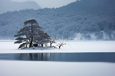 雪山湖景背景图片_有树木和雪山的冬季景观