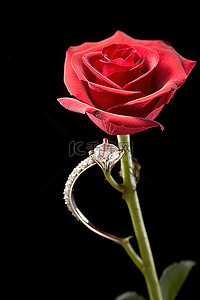 订婚戒指坐落在玫瑰之上