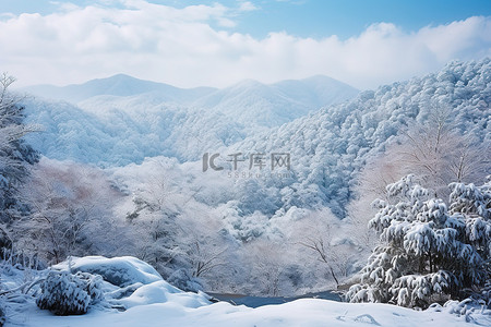 中国雪山景观和冬季森林的图像结果